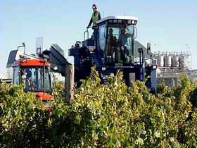 Ballast Stone Estate Wines Pty Ltd - Kingaroy Accommodation 0