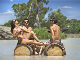 Caudo Vineyard Cellar Door - Kingaroy Accommodation 0