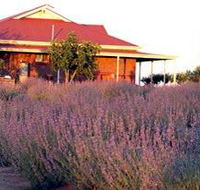 Bella Lavender Estate - Kingaroy Accommodation