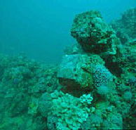 Adelaide's Underwater Heritage Trail - Kingaroy Accommodation