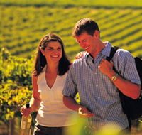 Lady Bay Vineyard - Kingaroy Accommodation