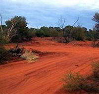 Tallaringa Conservation Park - Kingaroy Accommodation