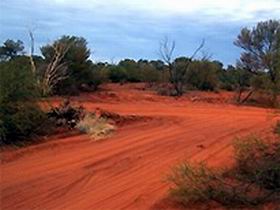 Tallaringa Conservation Park - Kingaroy Accommodation 0