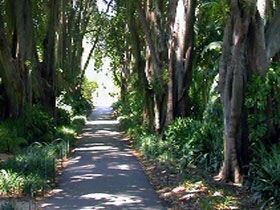 Adelaide Botanic Garden - Kingaroy Accommodation 0