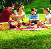 Bruny Island Berry Farm - Kingaroy Accommodation