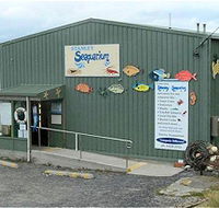 Stanley Seaquarium - Kingaroy Accommodation