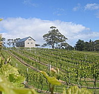 Bruny Island Premium Wines Bar and Grill - Kingaroy Accommodation