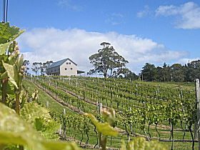 Bruny Island Premium Wines Bar And Grill - Kingaroy Accommodation 0