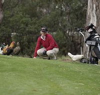 Tasmania Golf Club - The - Kingaroy Accommodation