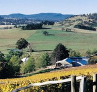 Freycinet Vineyards Pty Ltd - Kingaroy Accommodation