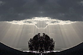Aart. Gallery Of Fine Art - Kingaroy Accommodation 0