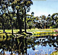 Smithton Country Club - Kingaroy Accommodation
