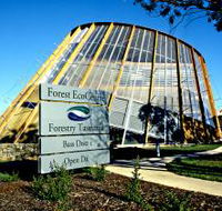 Forest EcoCentre - Kingaroy Accommodation