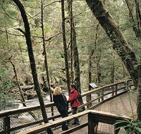 Franklin River Nature Trail - Kingaroy Accommodation