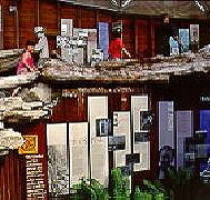 West Coast Visitor Information and Booking Centre - Kingaroy Accommodation