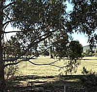 Cygnet Public Golf Course - Kingaroy Accommodation