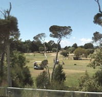 Greens Beach Golf Course - Kingaroy Accommodation