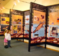 Platypus Experience - Kingaroy Accommodation