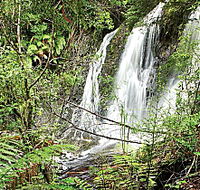 Hogarth Falls - Kingaroy Accommodation