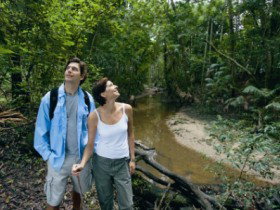 Mooloolah River National Park, Jowarra Section - Kingaroy Accommodation 0