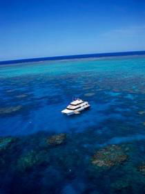 Norman Reef Dive Site - Kingaroy Accommodation 0