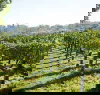 Surveyor's Hill Vineyards - Kingaroy Accommodation