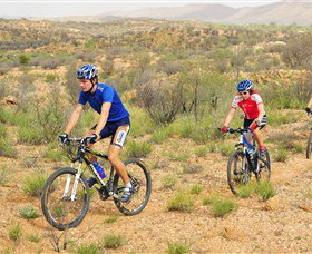 Araluen Mountain Bike Trails - Kingaroy Accommodation 0