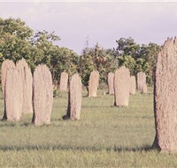 Magnetic Termite Mounds - Kingaroy Accommodation