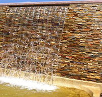 Howard Springs Nature Park - Kingaroy Accommodation