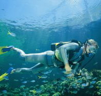 Kirra Reef Dive Site - Kingaroy Accommodation