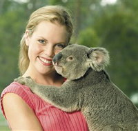 Paradise Country Aussie Farm Tour - Kingaroy Accommodation