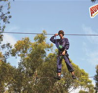 Adventure Parc at Currumbin Wildlife Sanctuary - Kingaroy Accommodation