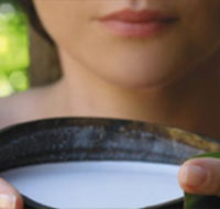 Ikatan Day Spa - Kingaroy Accommodation