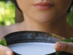 Ikatan Day Spa - Kingaroy Accommodation 0