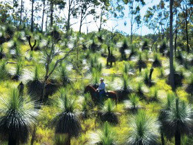  Kingaroy Accommodation