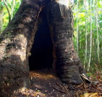Tewantin National Park - Kingaroy Accommodation