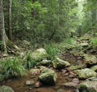 Amamoor State Forest - Kingaroy Accommodation