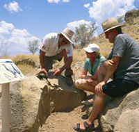 Riversleigh Fossil Fields - Kingaroy Accommodation