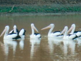  Kingaroy Accommodation