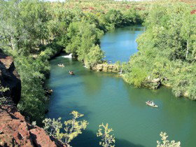 Wild Dog Dreaming, Boodjamulla (Lawn Hill) National Park - Kingaroy Accommodation 0