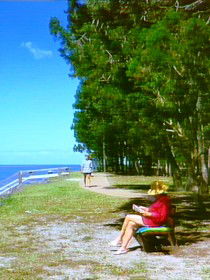 Woodgate QLD Kingaroy Accommodation