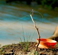 Charleville - Mangalore Warrego River Fishing Spot - Kingaroy Accommodation