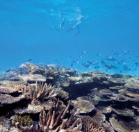 Australian Institute of Marine Science - Kingaroy Accommodation