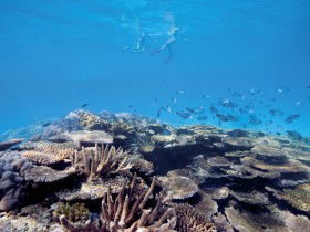 Australian Institute Of Marine Science - Kingaroy Accommodation 0