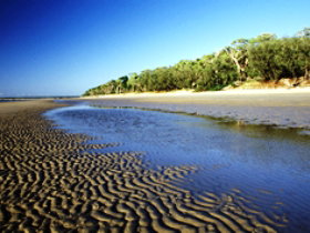 Burrum Coast National Park - Kingaroy Accommodation 0