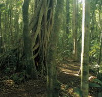 Mount Bithongabel - Kingaroy Accommodation