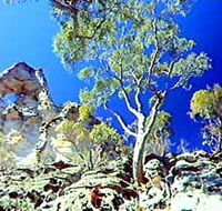 Mount Moffatt Section - Carnarvon National Park - Kingaroy Accommodation