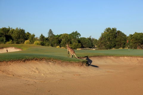 Pelican Waters Golf Club - Kingaroy Accommodation 6