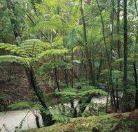 Fraser Island Great Walk - Kingaroy Accommodation