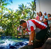 The Living Reef on Daydream Island - Kingaroy Accommodation